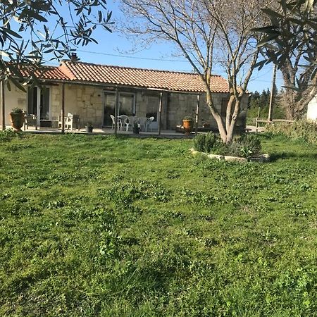 Mazet En Camargue Villa Arles Ngoại thất bức ảnh
