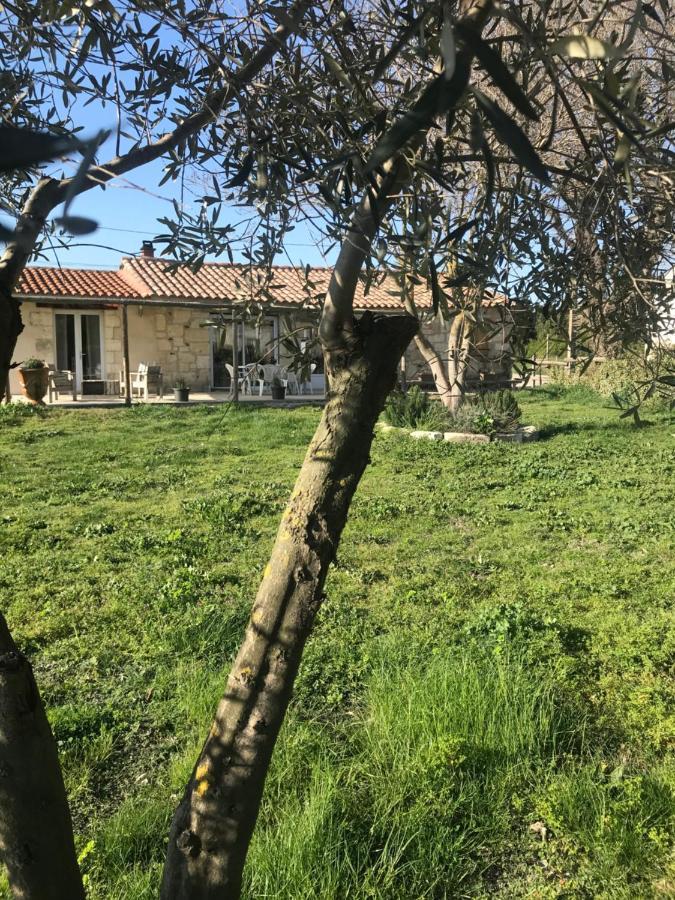 Mazet En Camargue Villa Arles Ngoại thất bức ảnh